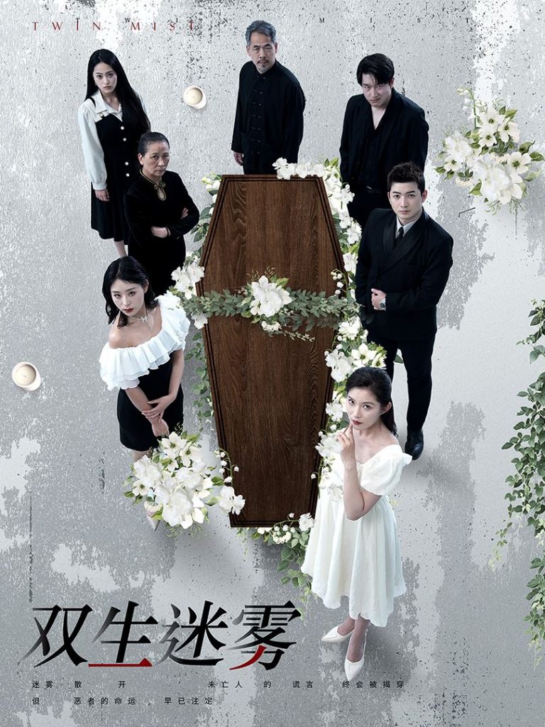 10.双生迷雾（80集）-热门短剧搜索-2