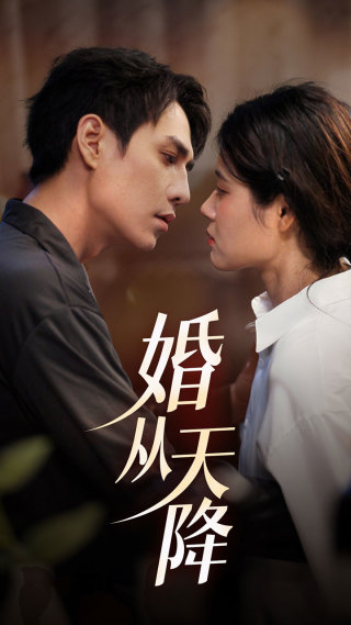11275-婚从天降（92集）张雨晴-热门短剧搜索-2
