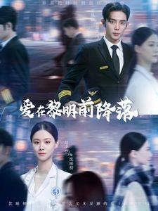 12.爱在黎明前降落（107集）-热门短剧搜索-2