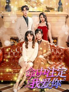 13.命中注定我爱你（99集）-热门短剧搜索-2
