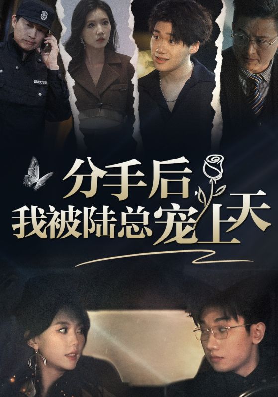14.分手后，我被陆总宠上天（76集）马乐婕-热门短剧搜索-2