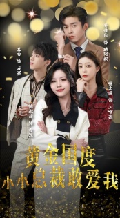 15.黄金国度小小总裁敢爱我&试婚后，总裁玩命要娶我（83集）-热门短剧搜索-2