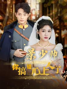 16.景少帅你搞错心上人了（100集）尚雨茜-热门短剧搜索-2