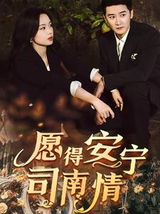 16479-愿得安宁司南情（76集）-热门短剧搜索-2