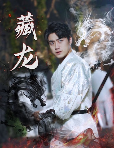 19.藏龙（74集）-热门短剧搜索-2