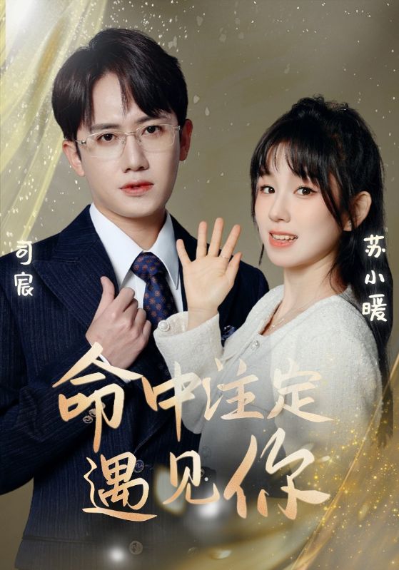 2.命中注定遇见你（96集）-热门短剧搜索-2