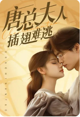 21.唐总夫人不好惹&唐总夫人插翅难逃(94集)（96集）-热门短剧搜索-2