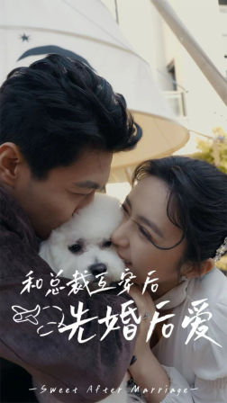 22.和总裁互穿后先婚后爱（60集）-热门短剧搜索-2