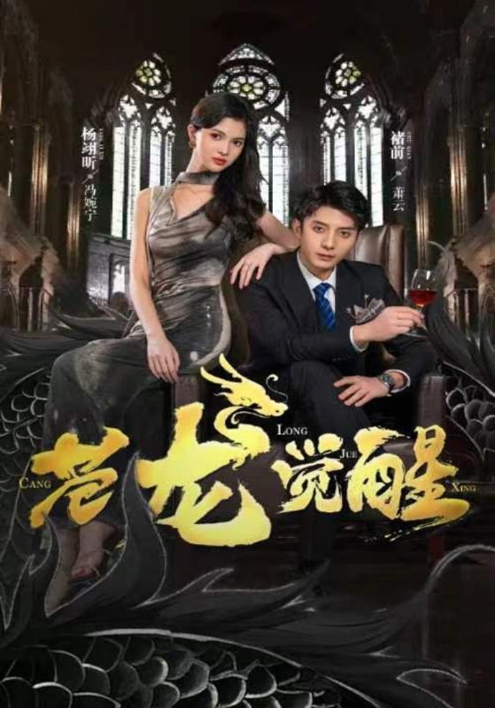 24.苍龙觉醒（100集）-热门短剧搜索-2