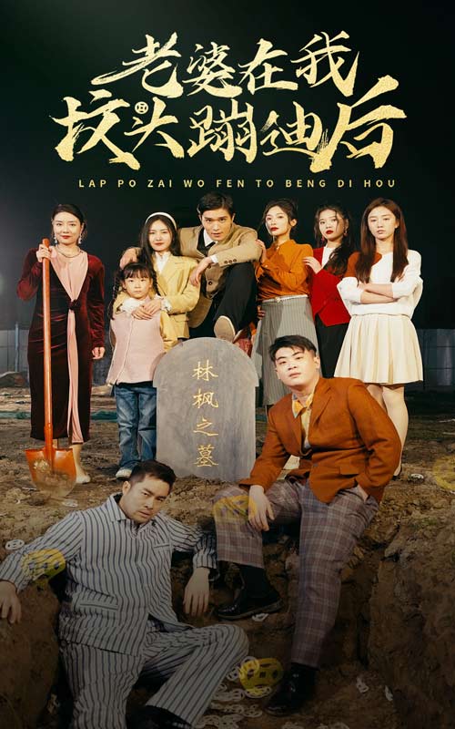 25.老婆在我坟头蹦迪后（80集）-热门短剧搜索-2