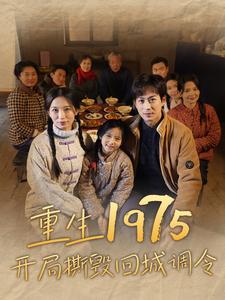 25.重生1975开局撕毁回城调令（83集）-热门短剧搜索-2