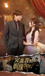 26.完蛋我被姻缘包围了（86集）-热门短剧搜索-2