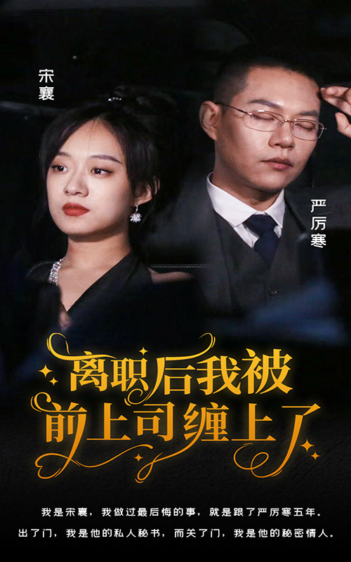 4.离职后，我被前上司缠上了（100集）侯程月-热门短剧搜索-2
