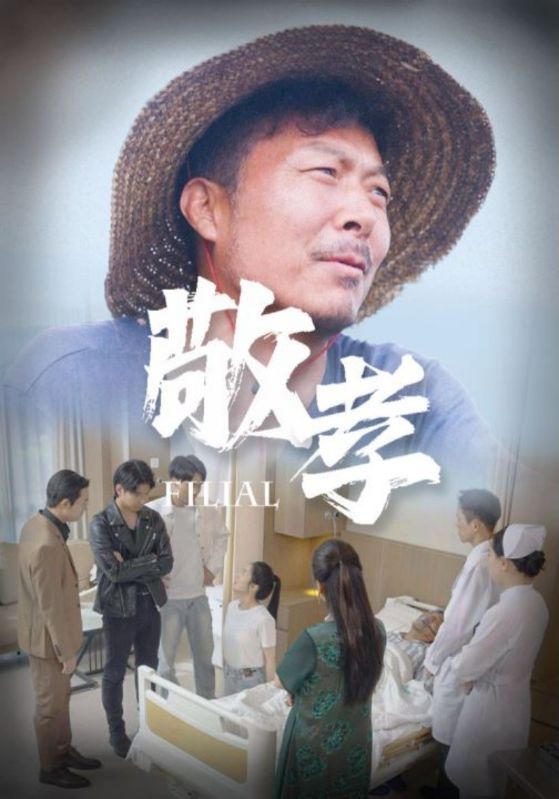 9385-敬孝（61集）王燕-热门短剧搜索-2