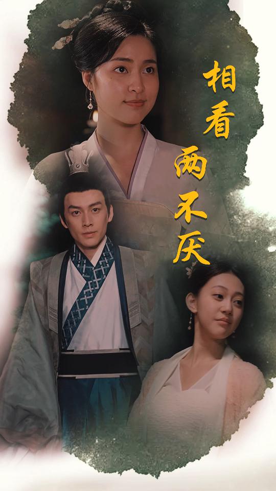 9430-相看两不厌&这个王妃不好惹（85集）-热门短剧搜索-2