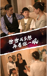 9508-爸爸我多想再看你一眼（73集）-热门短剧搜索-2