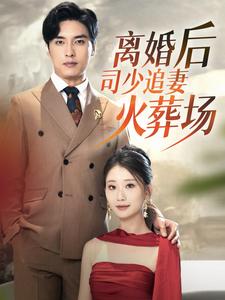 9544-离婚后司少追妻火葬场（87集）-热门短剧搜索-2
