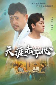 9561-天涯赤子心（60集）-热门短剧搜索-2