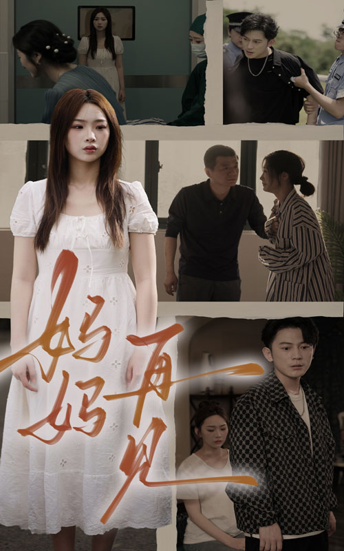 9669-妈妈，再见（28集）-热门短剧搜索-2