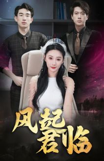 9704-风起君临（83集）-热门短剧搜索-2