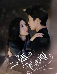 9744-二婚有点甜（88集）贾博雅-热门短剧搜索-2