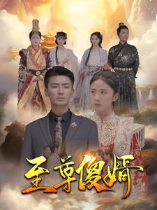 9763-至尊傻婿（82集）-热门短剧搜索-2