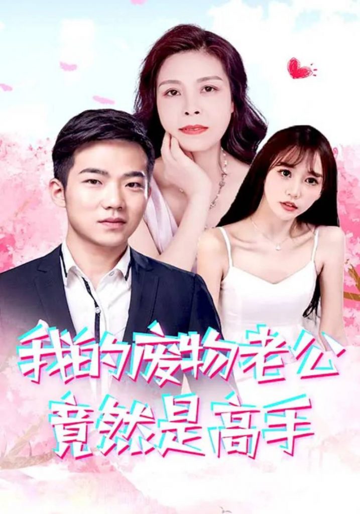 9779-我的废物老公竟然是高手（100集）燕子-热门短剧搜索-2
