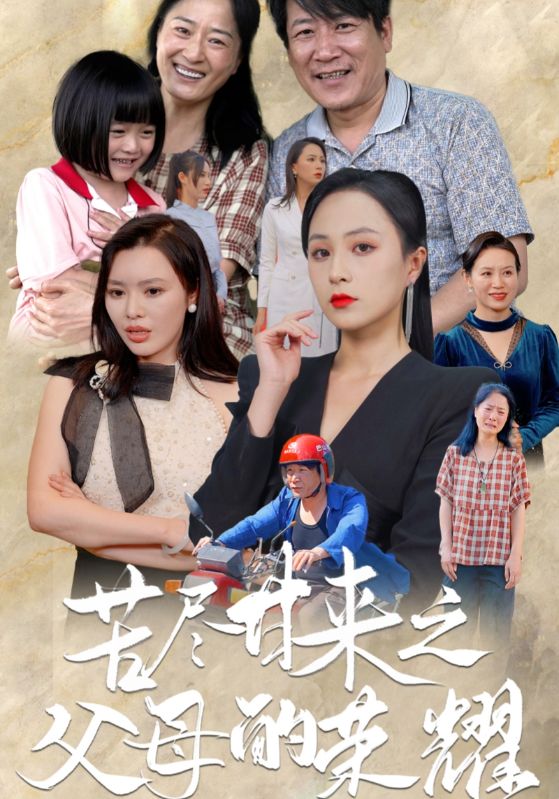 9913-苦尽甘来之父母的荣耀（86集）-热门短剧搜索-2
