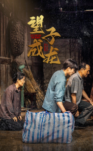 9936-新版：望子成龙（59集）-热门短剧搜索-2