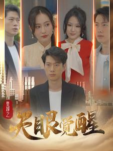 9961-赘婿之天眼觉醒(100集）-热门短剧搜索-2