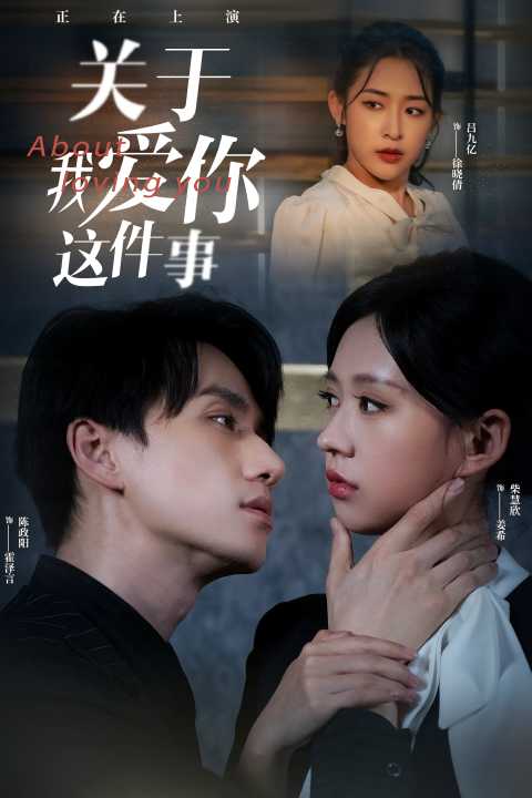 关于我爱你这件事（83集）陈政阳&柴慧欣-热门短剧搜索-2
