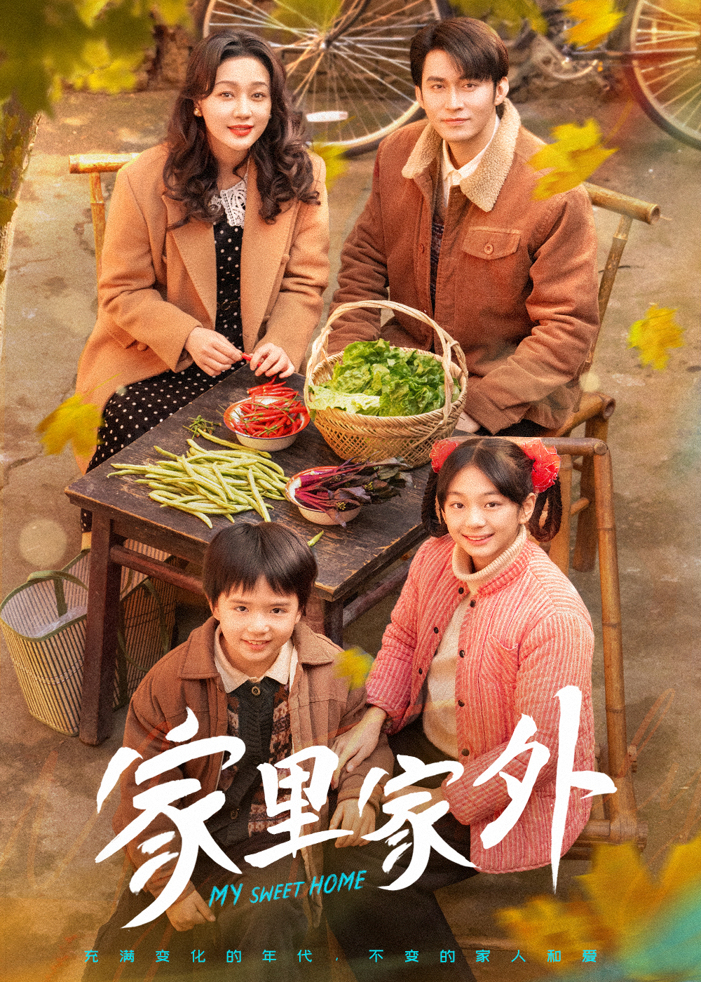 19253-家里家外（79集）王道铁&孙艺燃-热门短剧搜索-2