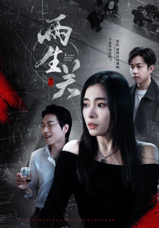 20457-两生关（40集）张晓楠-热门短剧搜索-2