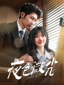 20520-夜色微光（91集）王子林＆田甜一-热门短剧搜索-2