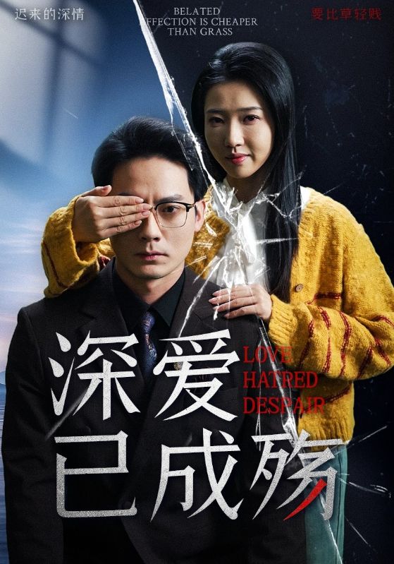 20617-深爱已成殇（52集）程泽章&张启璇-热门短剧搜索-2