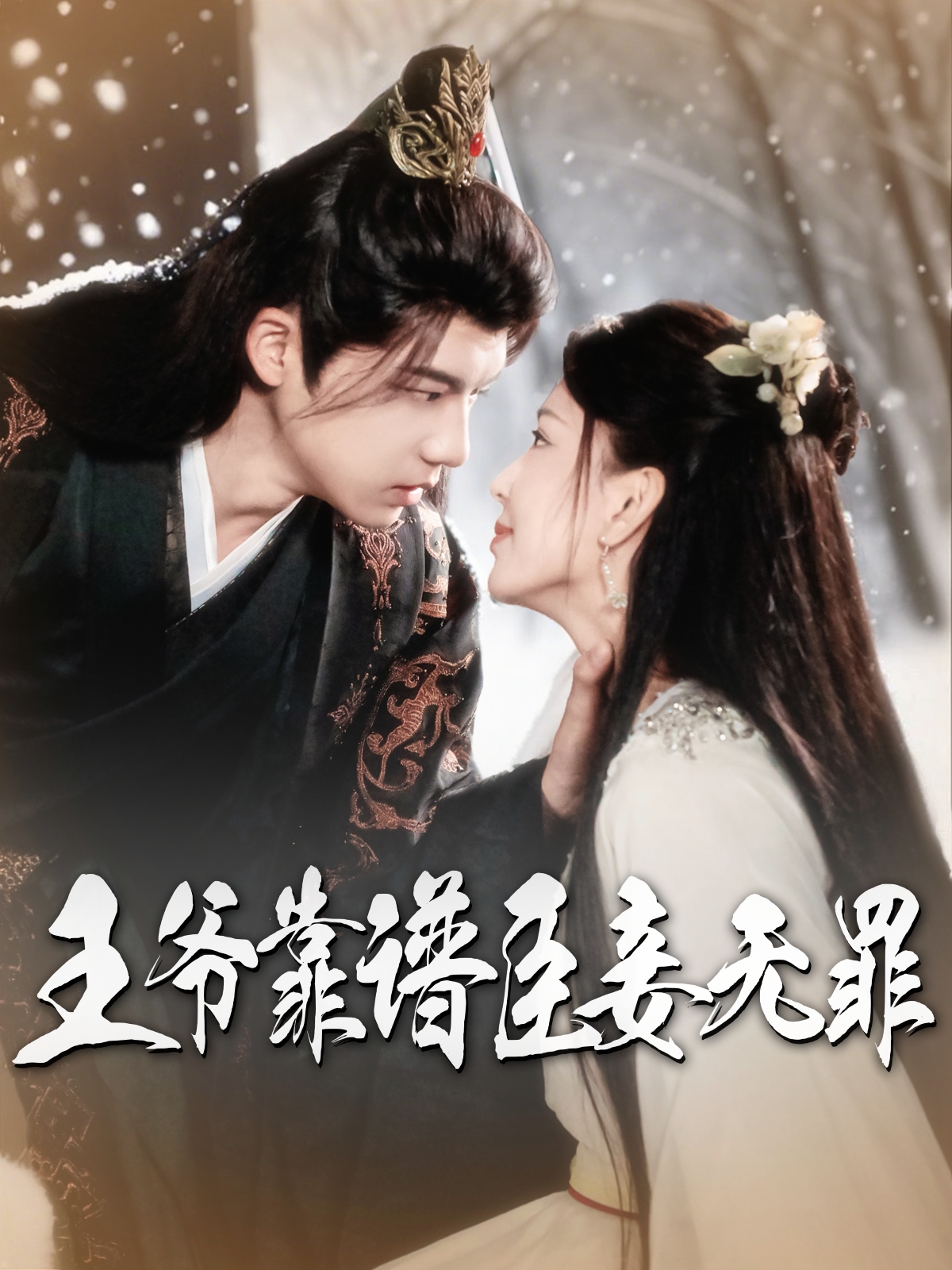 20632-王爷靠谱臣妾无罪（89集）黄子淇&马蕊-热门短剧搜索-2