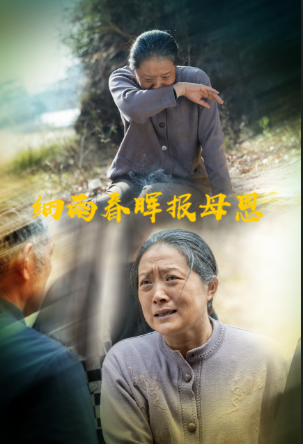20714-细雨春晖报母恩（30集）周婷&夏家顺-热门短剧搜索-2
