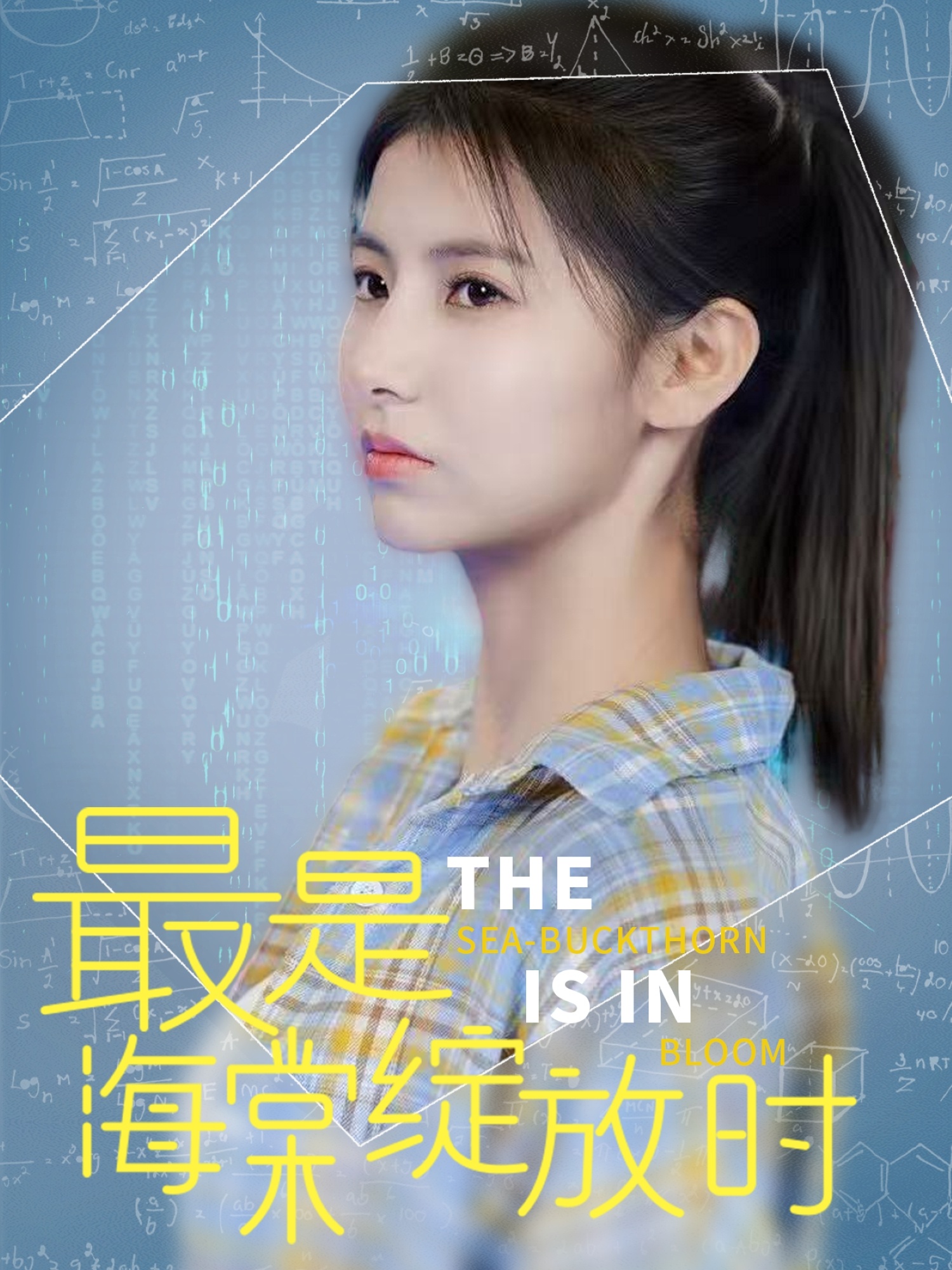 20732-最是海棠绽放时（33集）邓恒健＆王槿-热门短剧搜索-2