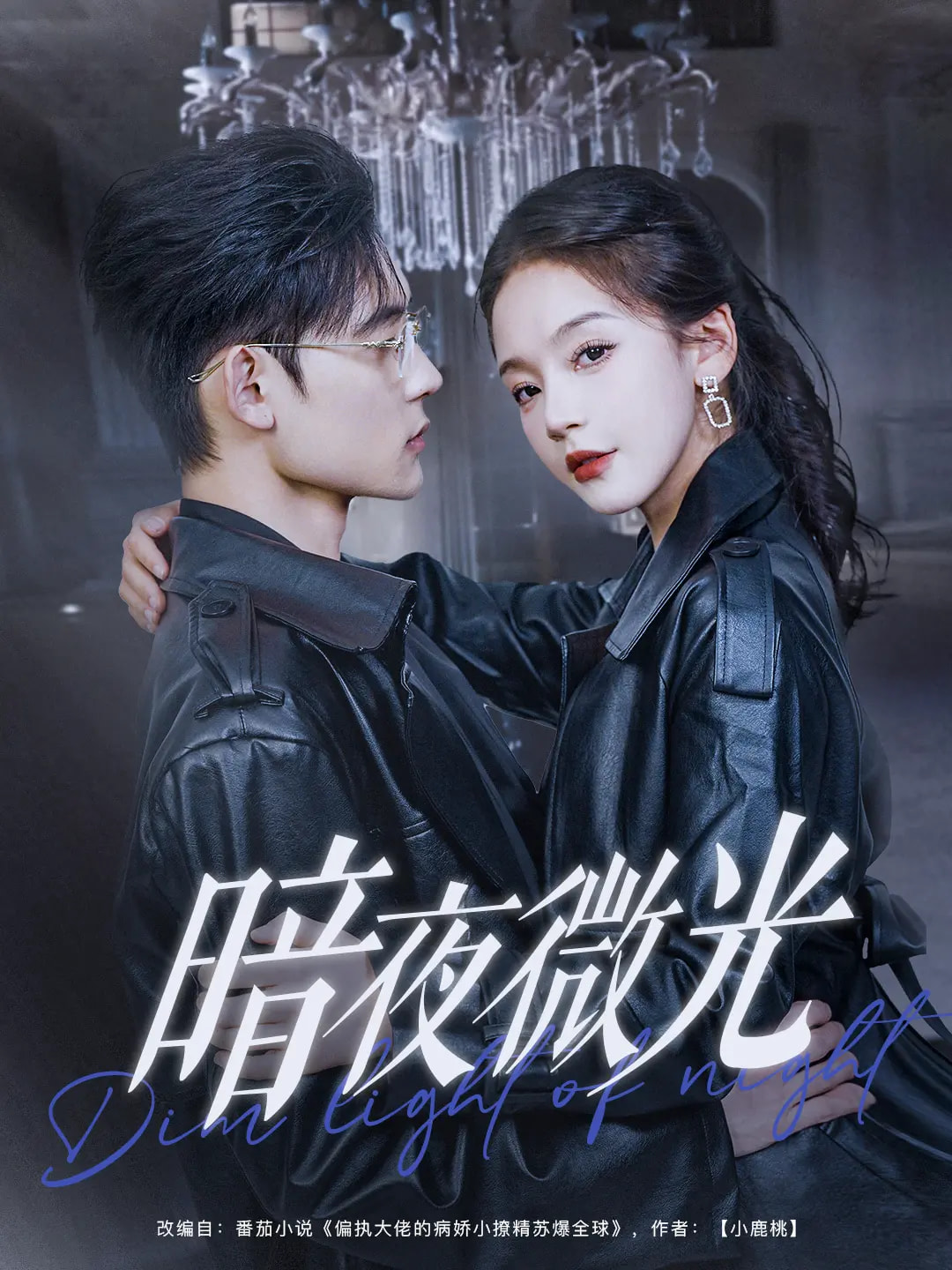 21236-暗夜微光（86集）张力壬&徐波滴-热门短剧搜索-2