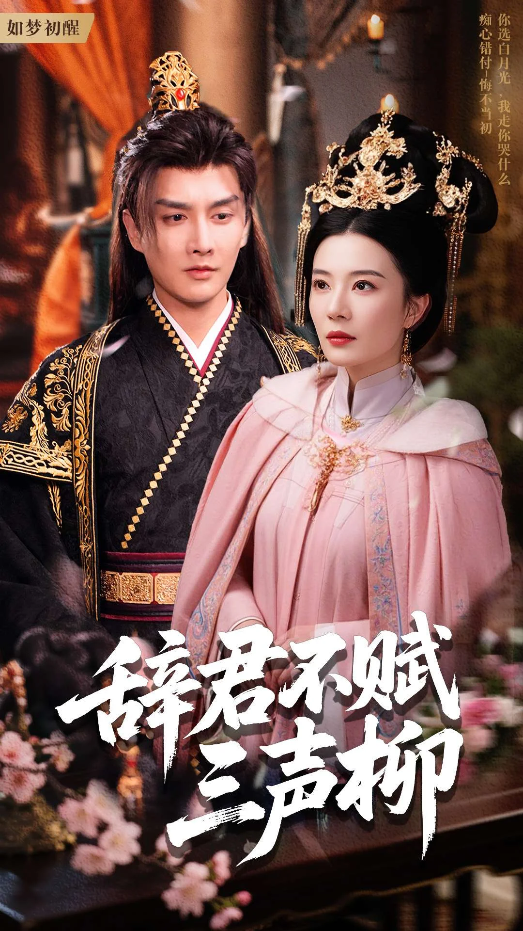 21492-辞君不赋三声柳（73集）王嫚嫚-热门短剧搜索-2