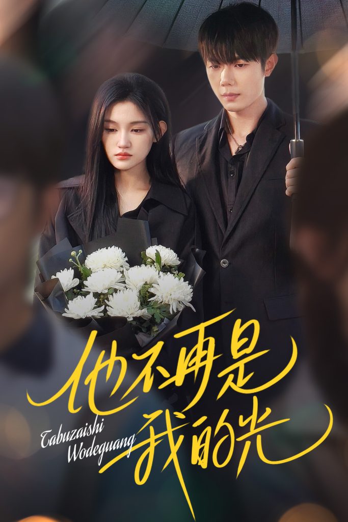 21828-他不再是我的光（60集）何连飞&安晓洁-热门短剧搜索-2
